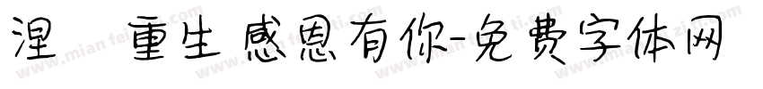 涅槃重生 感恩有你字体转换